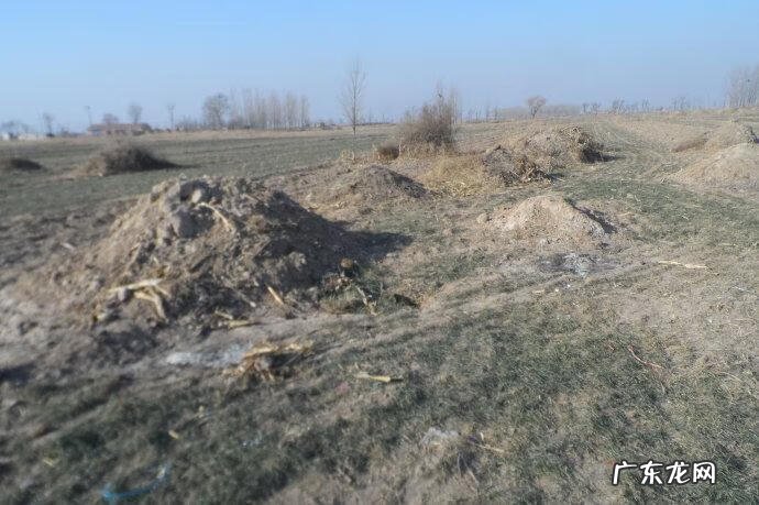 立个空坟好不好 拜空坟能有作用吗