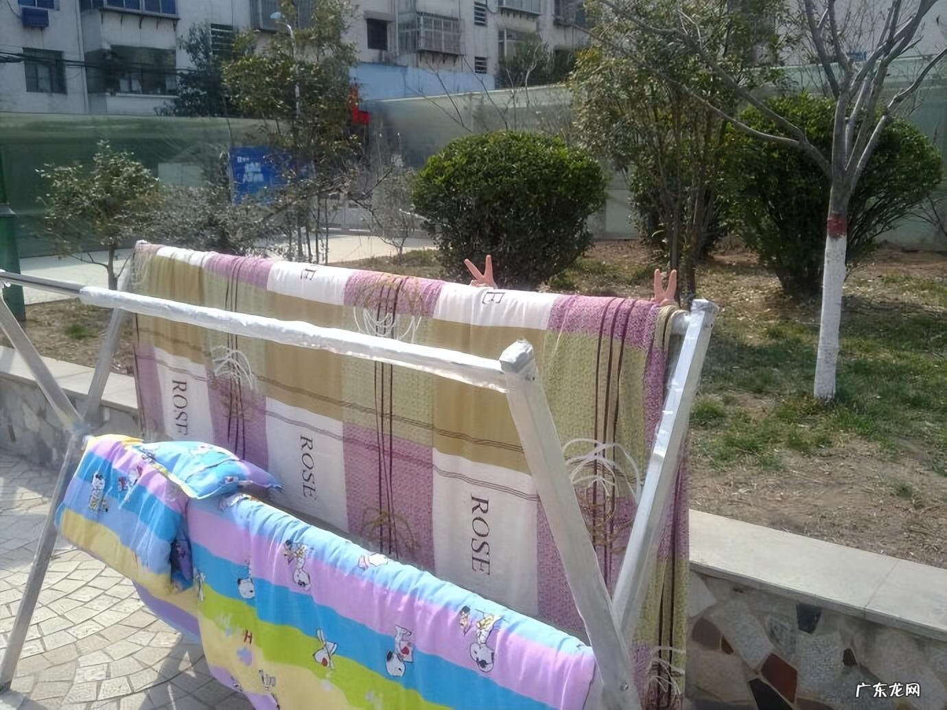 风水午代表什么 不过午风水学
