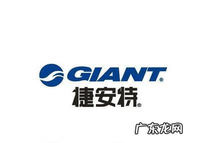 捷安特是什么国家的品牌 捷安特是哪个国家的企业