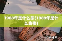 1988年是什么命格 1988年是什么命