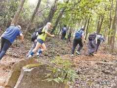 深圳适合徒步的公园 深圳徒步群