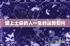 壁上土命的人一生的运势如何