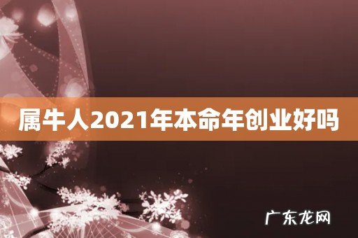 属牛人2021年本命年创业好吗