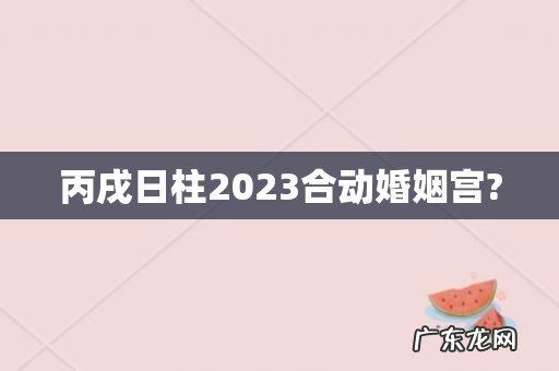 丙戌日柱2023合动婚姻宫?
