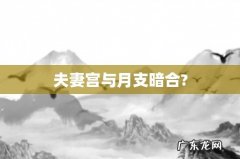 夫妻宫与月支暗合?