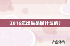 2016年出生是属什么的?