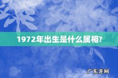 1972年出生是什么属相?