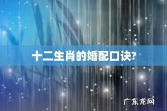 十二生肖的婚配口诀?