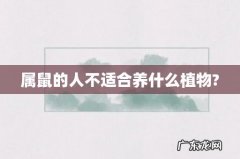 属鼠的人不适合养什么植物?