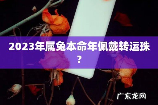 2023年属兔本命年佩戴转运珠?