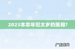 2023本命年犯太岁的属相?