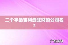 二个字最吉利最旺财的公司名?