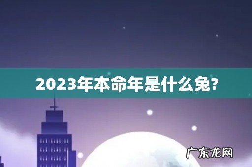 2023年本命年是什么兔?