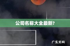 公司名称大全最新?