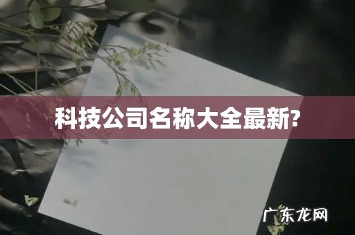 科技公司名称大全最新?