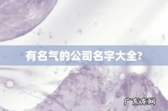 有名气的公司名字大全?