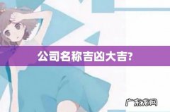 公司名称吉凶大吉?