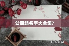 公司起名字大全集?