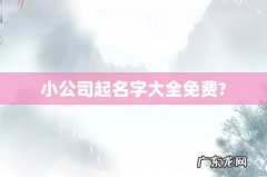 小公司起名字大全免费?