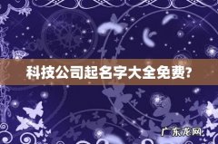 科技公司起名字大全免费?