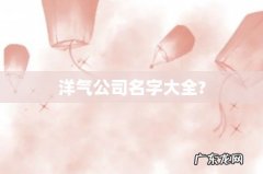 洋气公司名字大全?