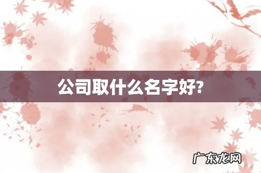 公司取什么名字好?