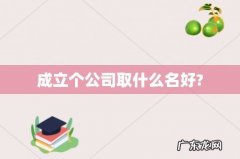 成立个公司取什么名好?