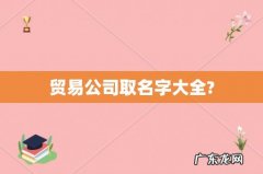 贸易公司取名字大全?