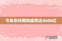 今年农村网购或将达4600亿