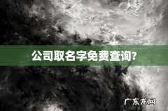 公司取名字免费查询?