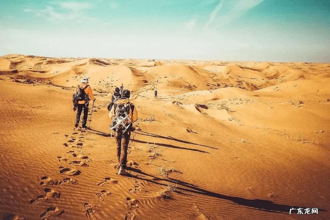 金星葬窝图片 金星葬窝木星葬节