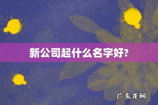 新公司起什么名字好?