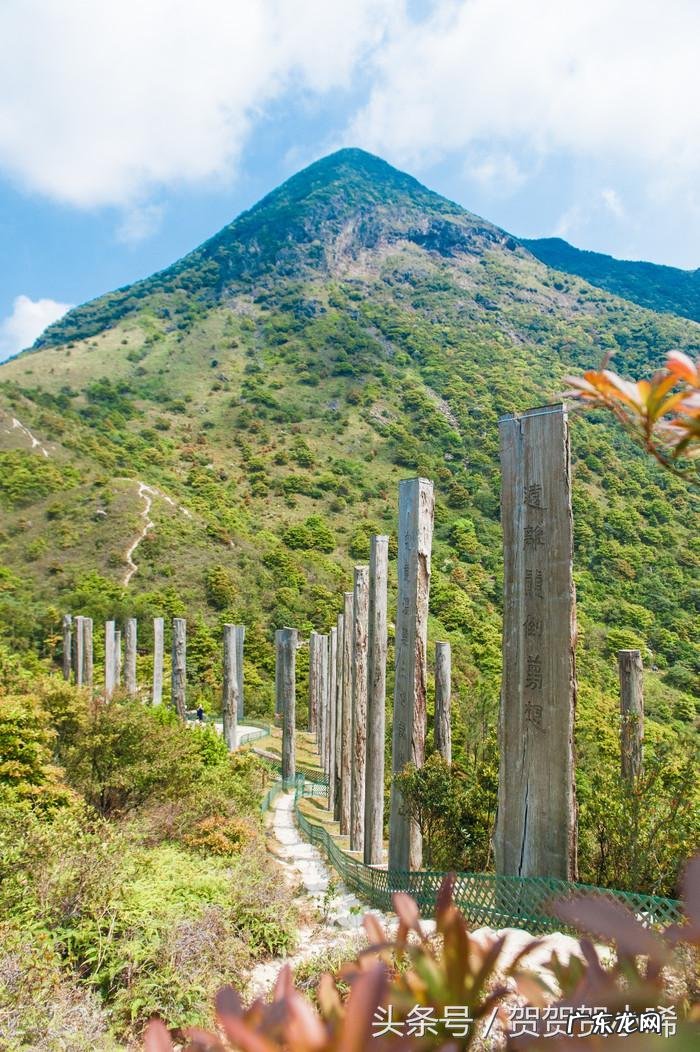 香港哪个人写的风水书比较好 香港最全风水书籍