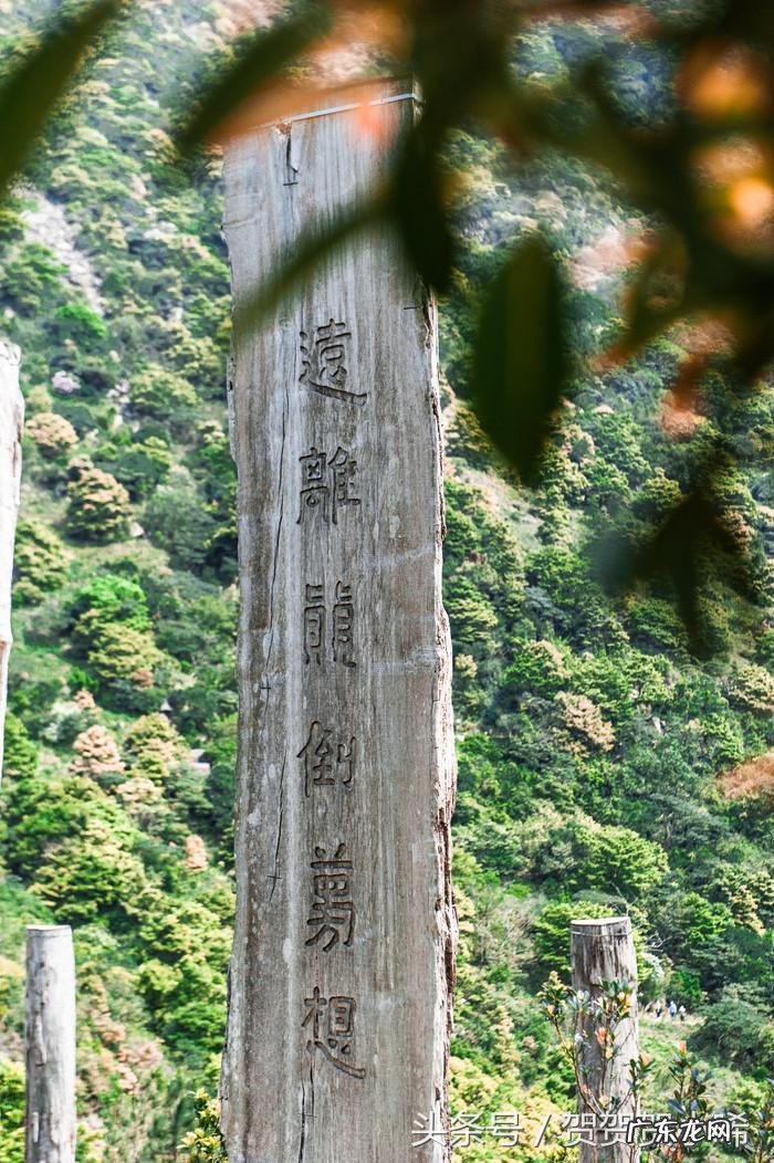香港哪个人写的风水书比较好 香港最全风水书籍