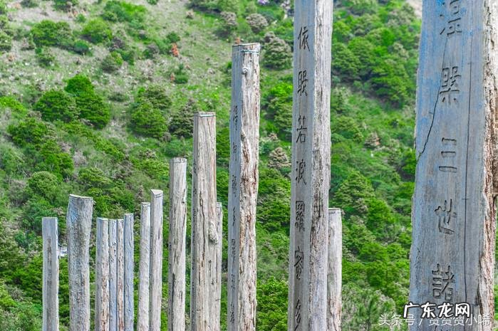 香港哪个人写的风水书比较好 香港最全风水书籍