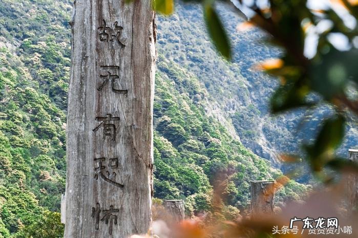 香港哪个人写的风水书比较好 香港最全风水书籍
