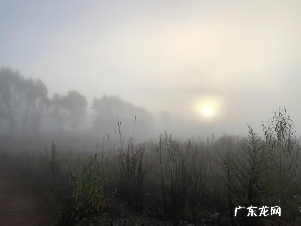 蒸包子的寓意和象征 蒸包子在风水上是什么