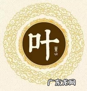 琴叶榕的风水作用 萧钟叶风水