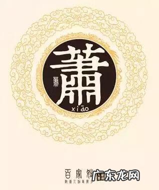 琴叶榕的风水作用 萧钟叶风水