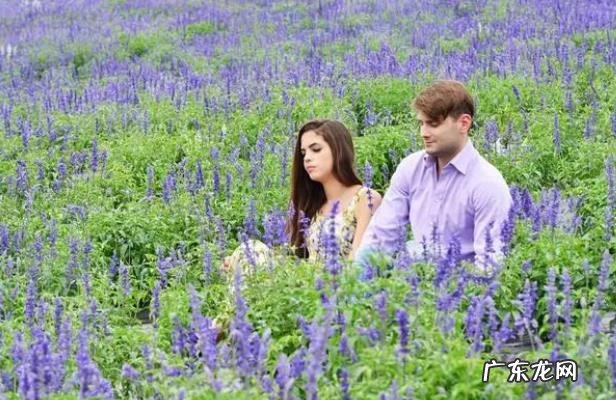 花种在黄土好还是土豪 黄土好不好