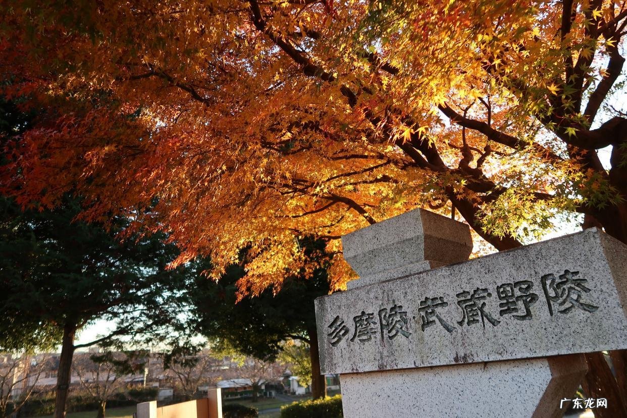 日本皇室有多少人 日本皇室成员名单