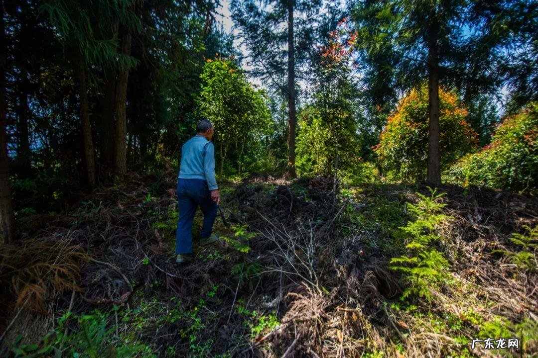 落水洞示意图 落水洞风水图片大全