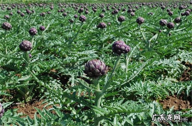 武汉到蕲春 蓟春