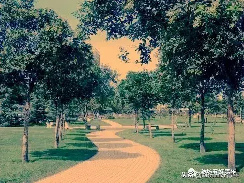 潍坊白浪河图片 潍坊白浪河流向