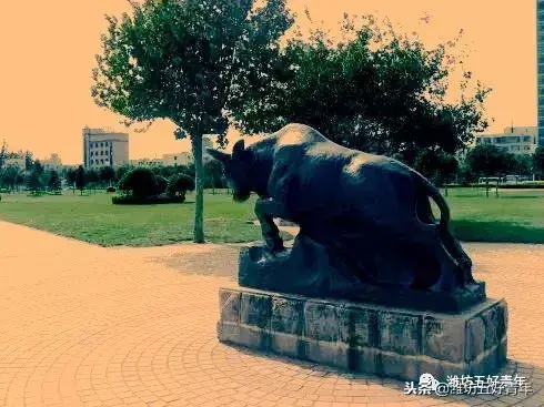 潍坊白浪河图片 潍坊白浪河流向