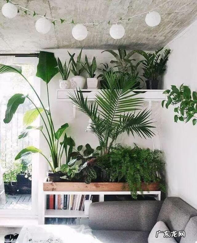 堵门有什么风水说法 车堵门风水怎么破解