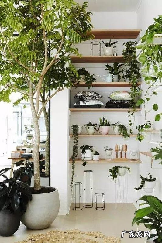 堵门有什么风水说法 车堵门风水怎么破解