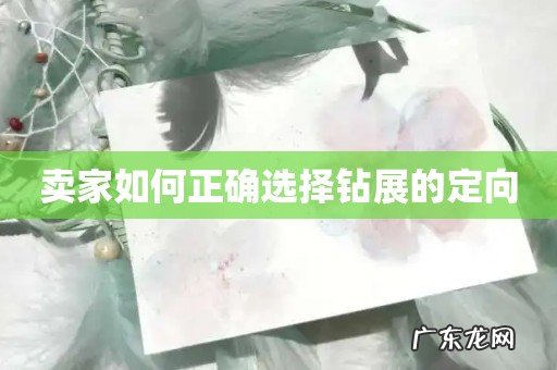 卖家如何正确选择钻展的定向