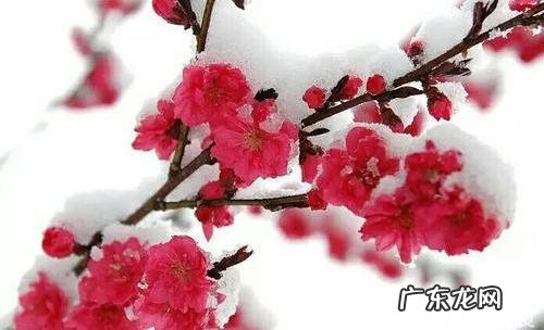 事事不顺是不是风水有关 人不顺利是不是和风水有关的