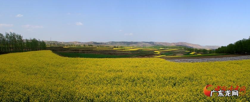 水浮莲花风水宝地 美丽的华亭莲花湖
